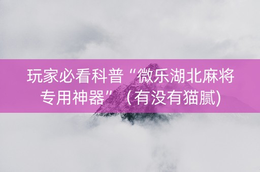 玩家必看科普“微乐湖北麻将专用神器”（有没有猫腻)