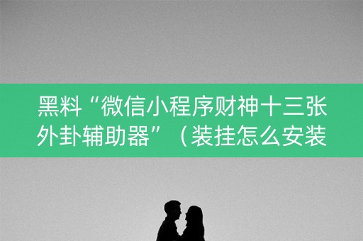 黑料“微信小程序财神十三张外卦辅助器”（装挂怎么安装)