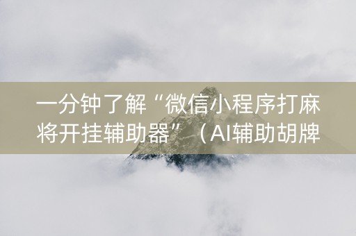 一分钟了解“微信小程序打麻将开挂辅助器”（AI辅助胡牌规则)