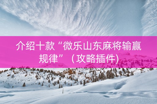 介绍十款“微乐山东麻将输赢规律”（攻略插件)