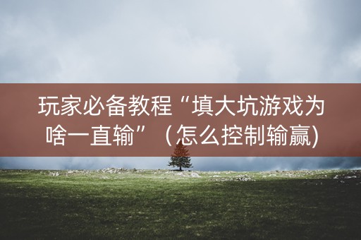玩家必备教程“填大坑游戏为啥一直输”（怎么控制输赢)