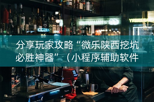 分享玩家攻略“微乐陕西挖坑必胜神器”（小程序辅助软件)