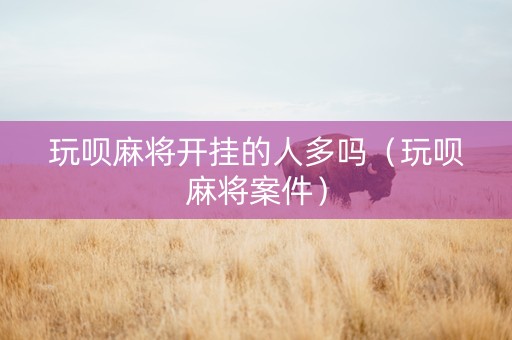 玩呗麻将开挂的人多吗（玩呗麻将案件）