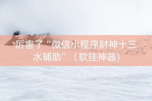 厉害了“微信小程序财神十三水辅助”（软挂神器)