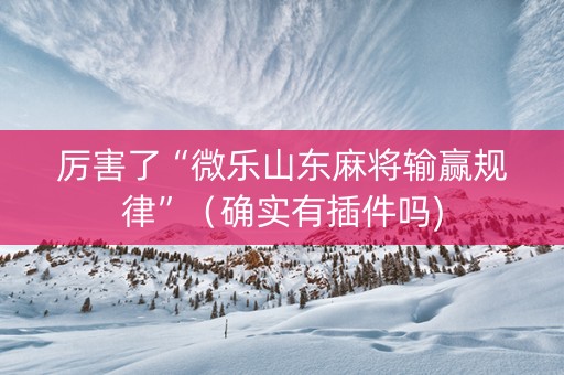 厉害了“微乐山东麻将输赢规律”（确实有插件吗)