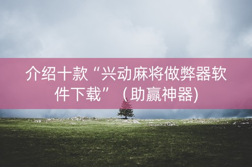 介绍十款“兴动麻将做弊器软件下载”（助赢神器)