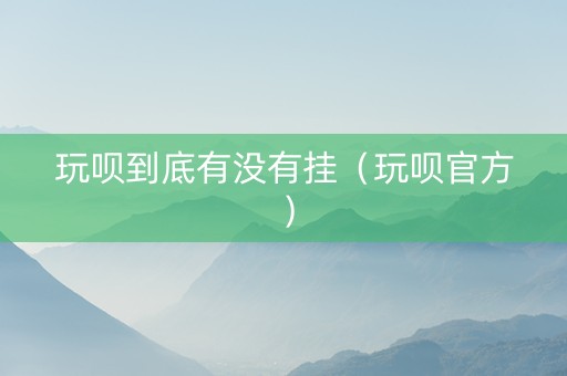 玩呗到底有没有挂（玩呗官方）