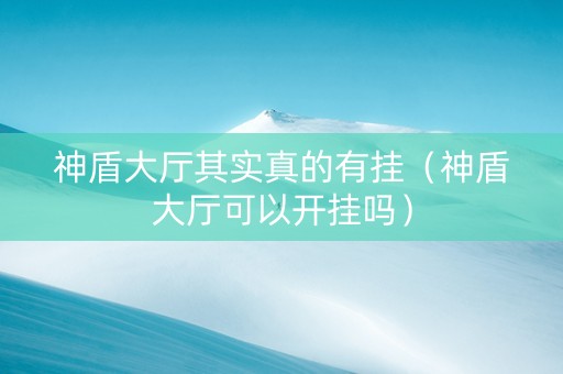 神盾大厅其实真的有挂（神盾大厅可以开挂吗）