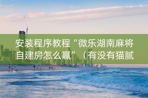 安装程序教程“微乐湖南麻将自建房怎么赢”（有没有猫腻)