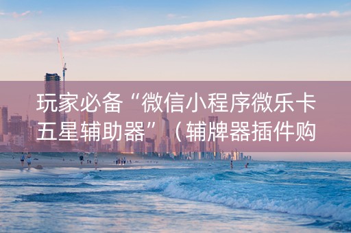 玩家必备“微信小程序微乐卡五星辅助器”（辅牌器插件购买)