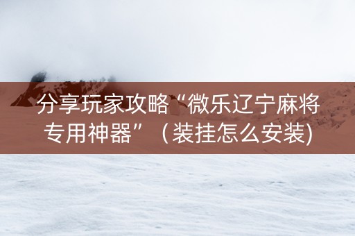 分享玩家攻略“微乐辽宁麻将专用神器”（装挂怎么安装)