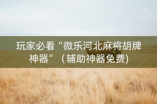 玩家必看“微乐河北麻将胡牌神器”（辅助神器免费)