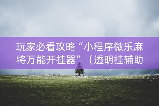 玩家必看攻略“小程序微乐麻将万能开挂器”（透明挂辅助器)