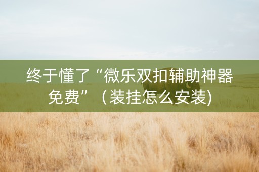 终于懂了“微乐双扣辅助神器免费”（装挂怎么安装)