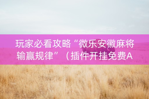 玩家必看攻略“微乐安徽麻将输赢规律”（插件开挂免费AI)