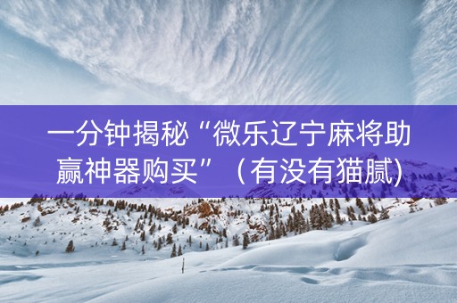 一分钟揭秘“微乐辽宁麻将助赢神器购买”（有没有猫腻)