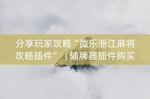 分享玩家攻略“微乐浙江麻将攻略插件”（辅牌器插件购买)