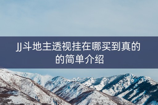 JJ斗地主透视挂在哪买到真的的简单介绍
