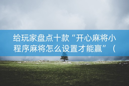 给玩家盘点十款“开心麻将小程序麻将怎么设置才能赢”（AI辅助胡牌规则)