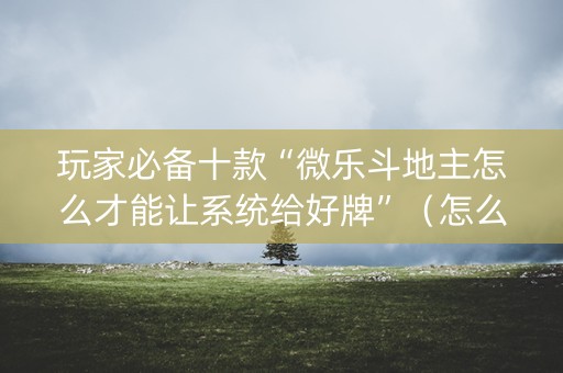 玩家必备十款“微乐斗地主怎么才能让系统给好牌”（怎么控制输赢)