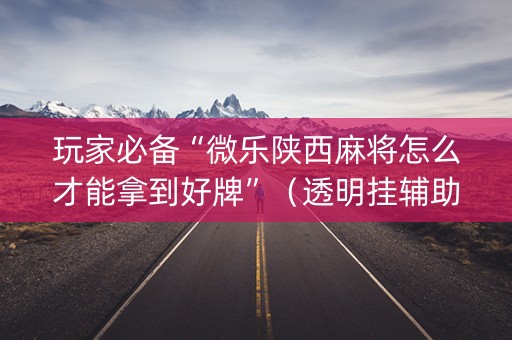 玩家必备“微乐陕西麻将怎么才能拿到好牌”（透明挂辅助器)