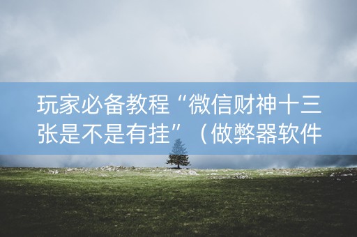玩家必备教程“微信财神十三张是不是有挂”（做弊器软件下载)