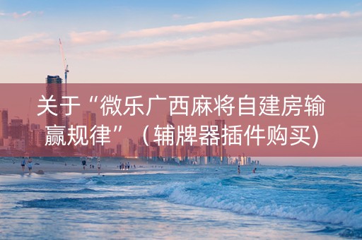 关于“微乐广西麻将自建房输赢规律”（辅牌器插件购买)