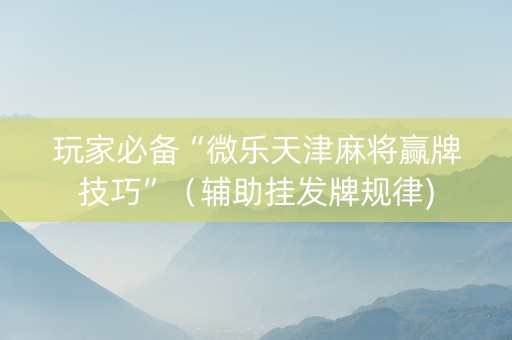 玩家必备“微乐天津麻将赢牌技巧”（辅助挂发牌规律)