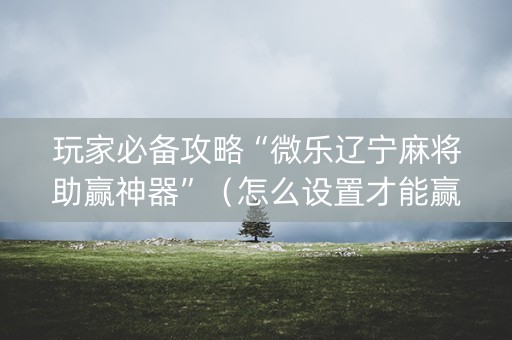 玩家必备攻略“微乐辽宁麻将助赢神器”（怎么设置才能赢)