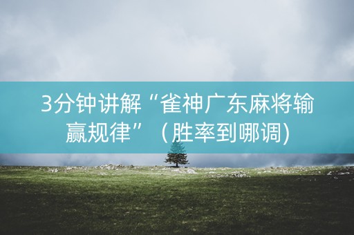 3分钟讲解“雀神广东麻将输赢规律”（胜率到哪调)