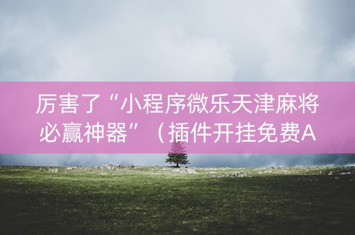 厉害了“小程序微乐天津麻将必赢神器”（插件开挂免费AI)