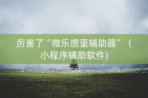 厉害了“微乐掼蛋辅助器”（小程序辅助软件)