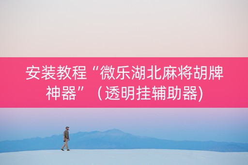 安装教程“微乐湖北麻将胡牌神器”（透明挂辅助器)