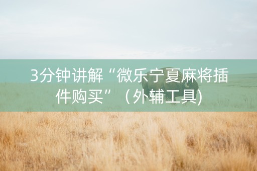 3分钟讲解“微乐宁夏麻将插件购买”（外辅工具)
