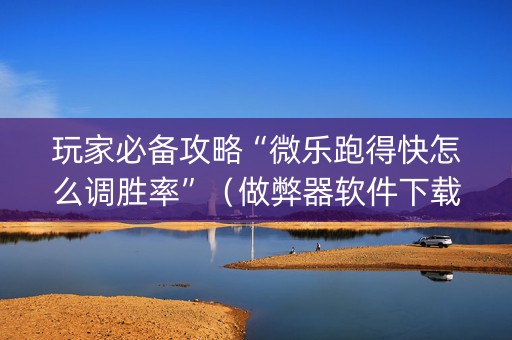 玩家必备攻略“微乐跑得快怎么调胜率”（做弊器软件下载)