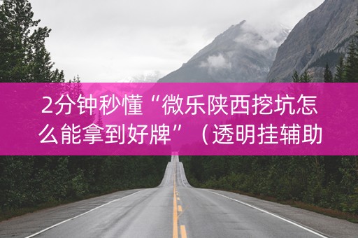 2分钟秒懂“微乐陕西挖坑怎么能拿到好牌”（透明挂辅助器)