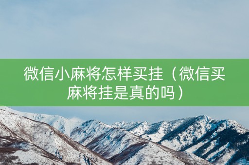 微信小麻将怎样买挂（微信买麻将挂是真的吗）