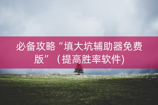 必备攻略“填大坑辅助器免费版”（提高胜率软件)