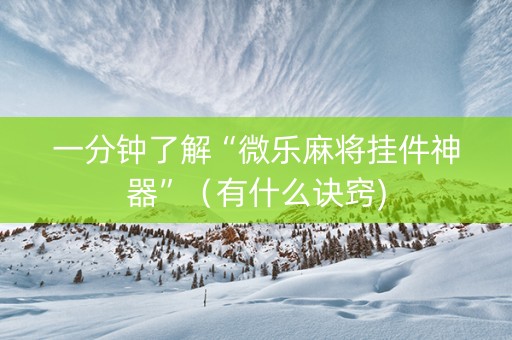 一分钟了解“微乐麻将挂件神器”（有什么诀窍)
