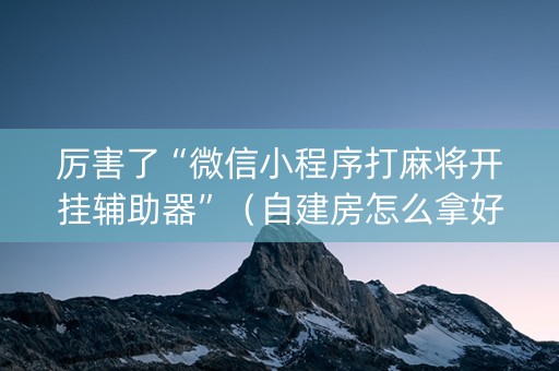 厉害了“微信小程序打麻将开挂辅助器”（自建房怎么拿好牌)