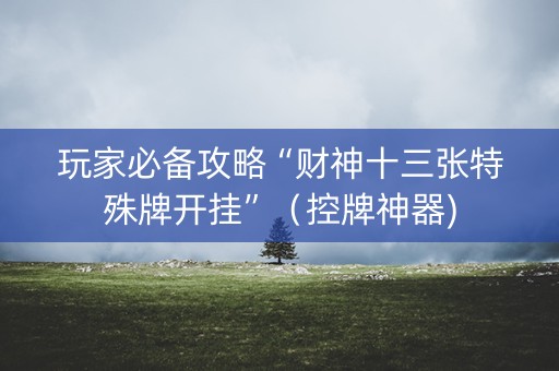 玩家必备攻略“财神十三张特殊牌开挂”（控牌神器)