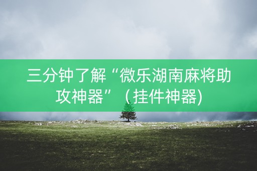 三分钟了解“微乐湖南麻将助攻神器”（挂件神器)