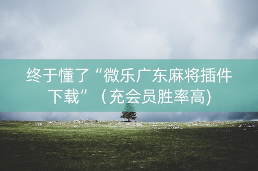 终于懂了“微乐广东麻将插件下载”（充会员胜率高)