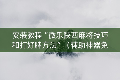 安装教程“微乐陕西麻将技巧和打好牌方法”（辅助神器免费)