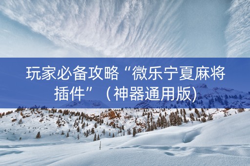 玩家必备攻略“微乐宁夏麻将插件”（神器通用版)