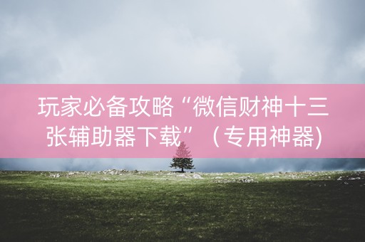 玩家必备攻略“微信财神十三张辅助器下载”（专用神器)