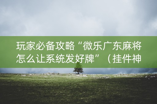 玩家必备攻略“微乐广东麻将怎么让系统发好牌”（挂件神器)