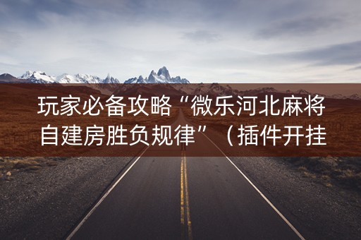 玩家必备攻略“微乐河北麻将自建房胜负规律”（插件开挂免费AI)