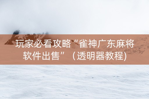 玩家必看攻略“雀神广东麻将软件出售”（透明器教程)