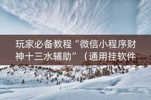玩家必备教程“微信小程序财神十三水辅助”（通用挂软件多少钱)